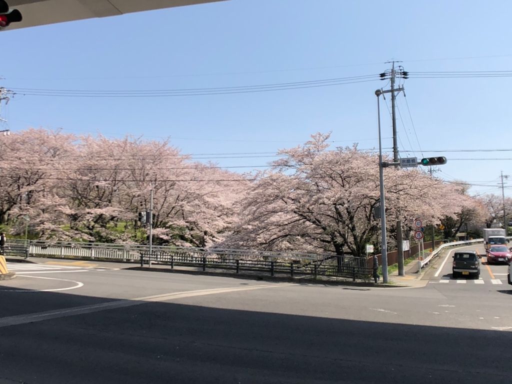 物件から車で2分の余慶橋の桜(^-^)
とーっても綺麗ですよね♪
お花見に行けない忙しい方は毎日の通勤で車から見れちゃう♪